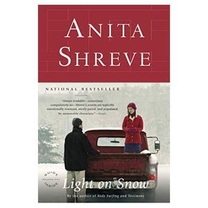 Light on Snow (Paperback)